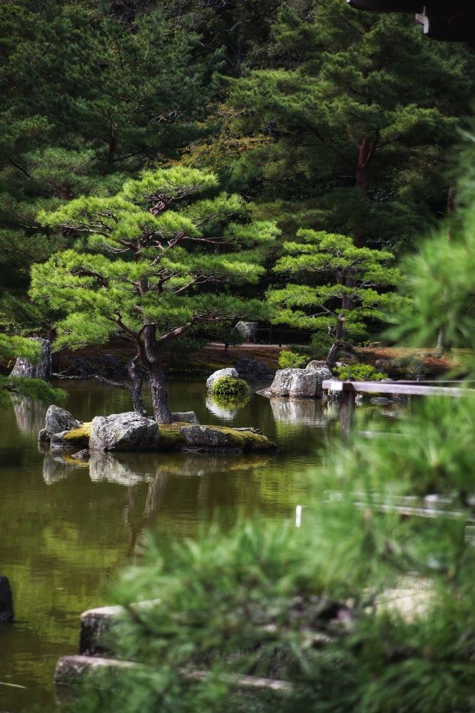 Photograph by Елена Хорошильцева