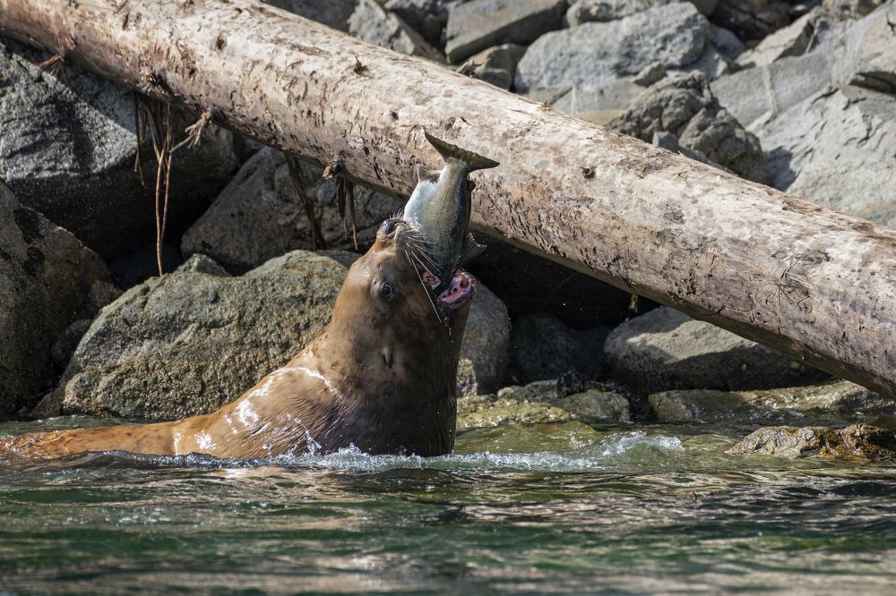 Photograph by Jordan Blackstone