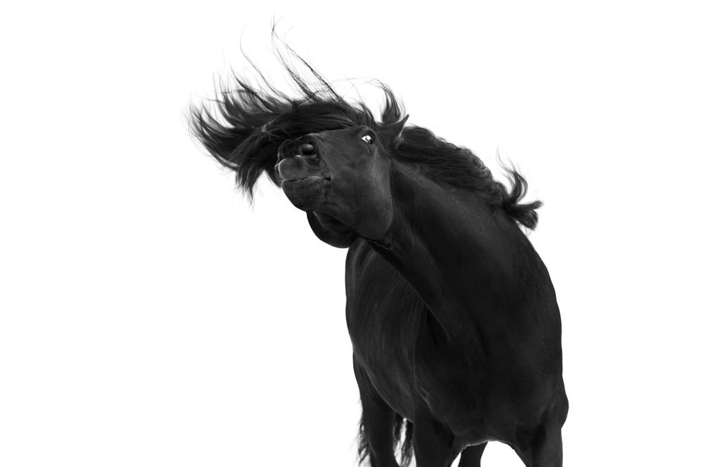 Photograph by Екатерина Михайлова