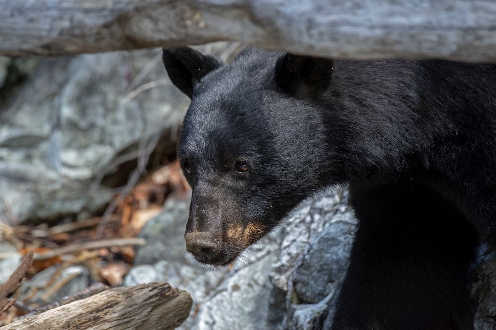 Photograph by Jordan Blackstone