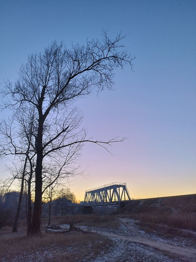 Фотография автора Екатерина Соловьева