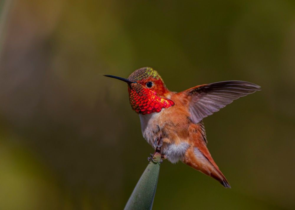 Photograph by Светлана Барабанщикова