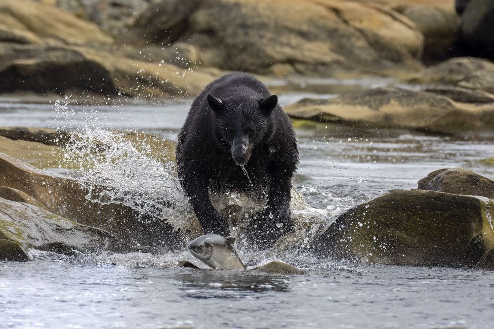 Photograph by Jordan Blackstone