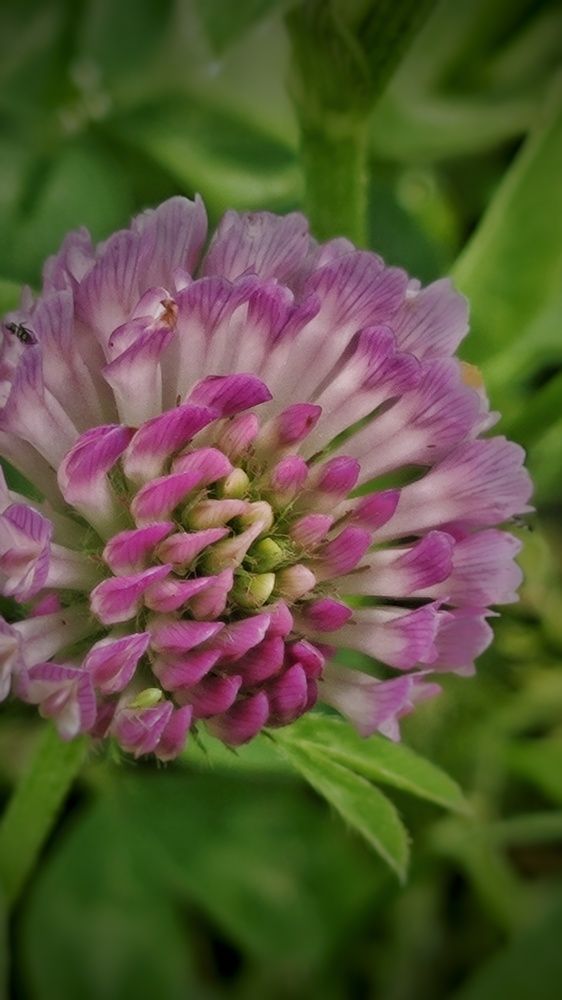 Photograph by Ирина Горбач