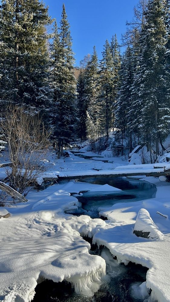 Photograph by Марина Куимова