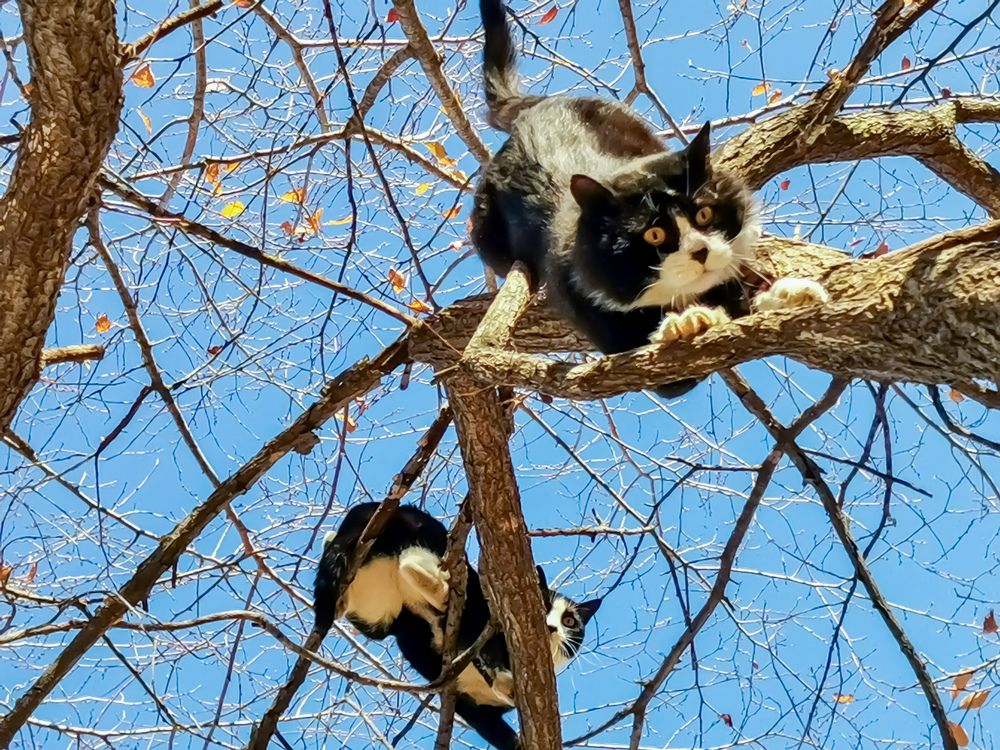 Photograph by Переверзева Татьяна