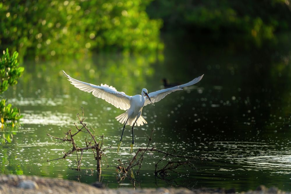 Photograph by Leslee Jayachandran