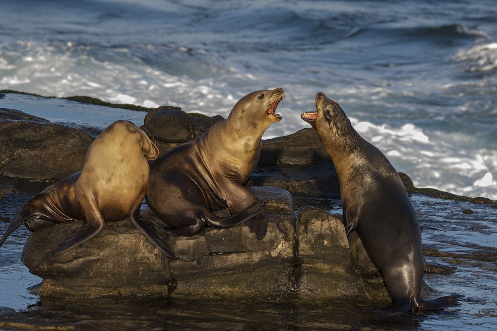 Photograph by Светлана Барабанщикова