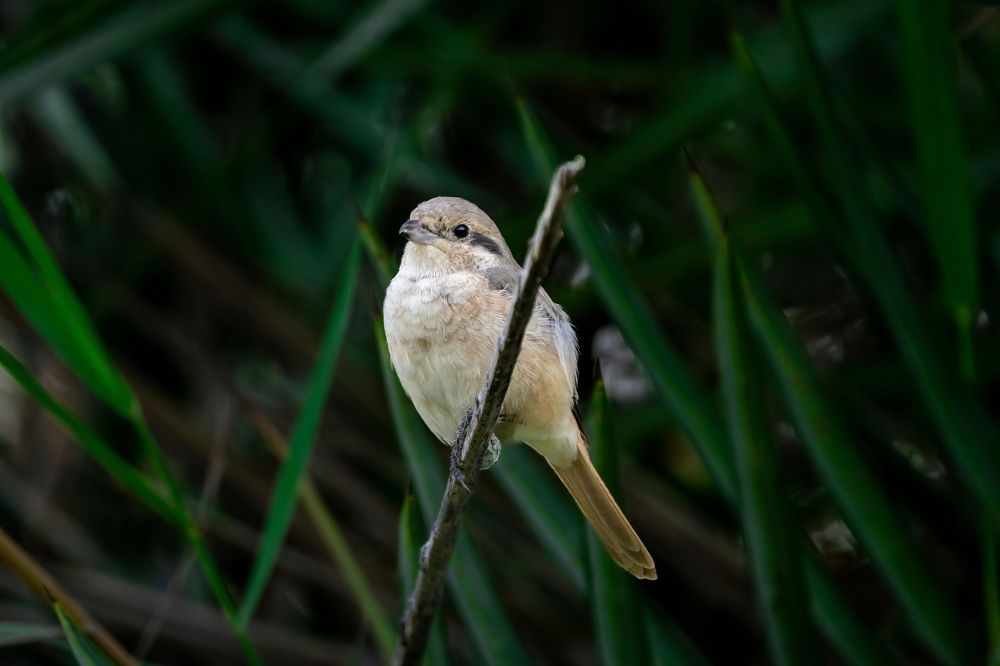 Photograph by krithiga mohan