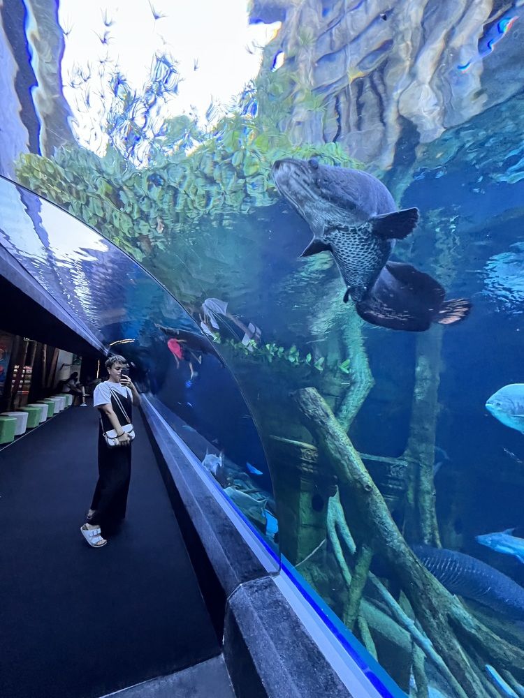 Фотография автора Мария Жукова