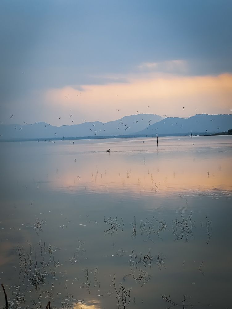 Photograph by Dilan Daniel