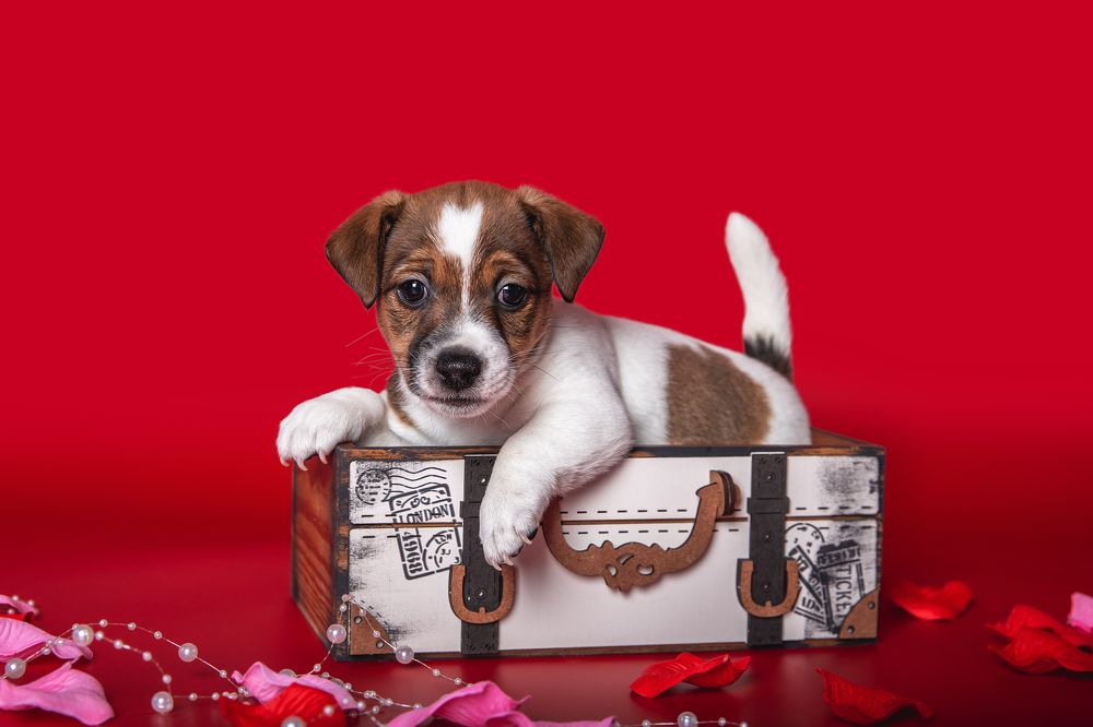 Photograph by Елена Вьюркова