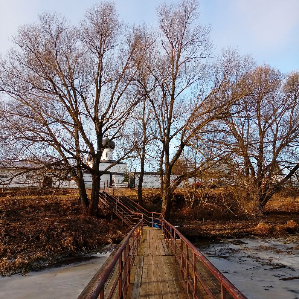 Photo #10428694