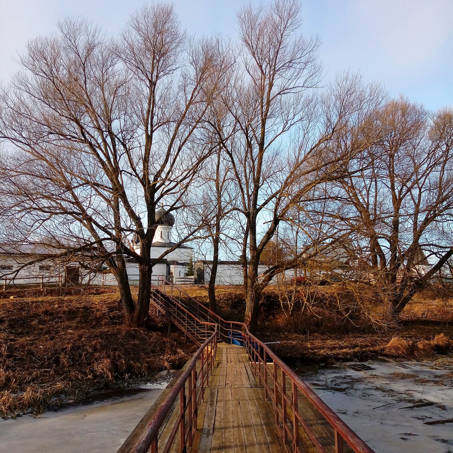 Photo #10428694