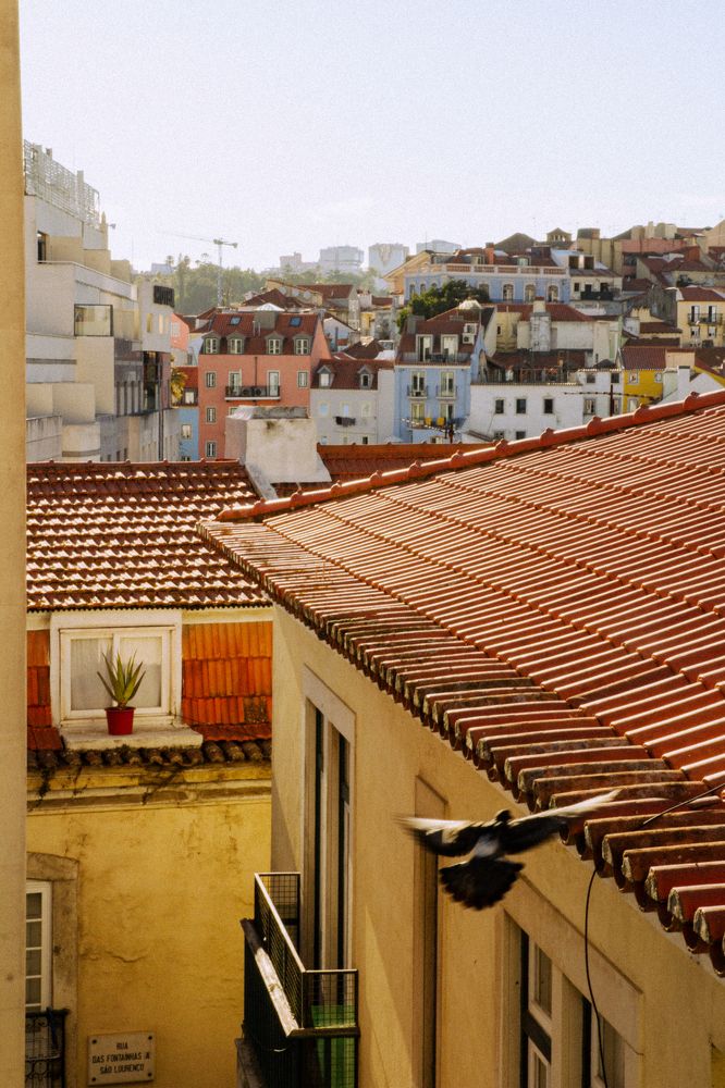 Фотография автора Boryana Dzhivdzhanova