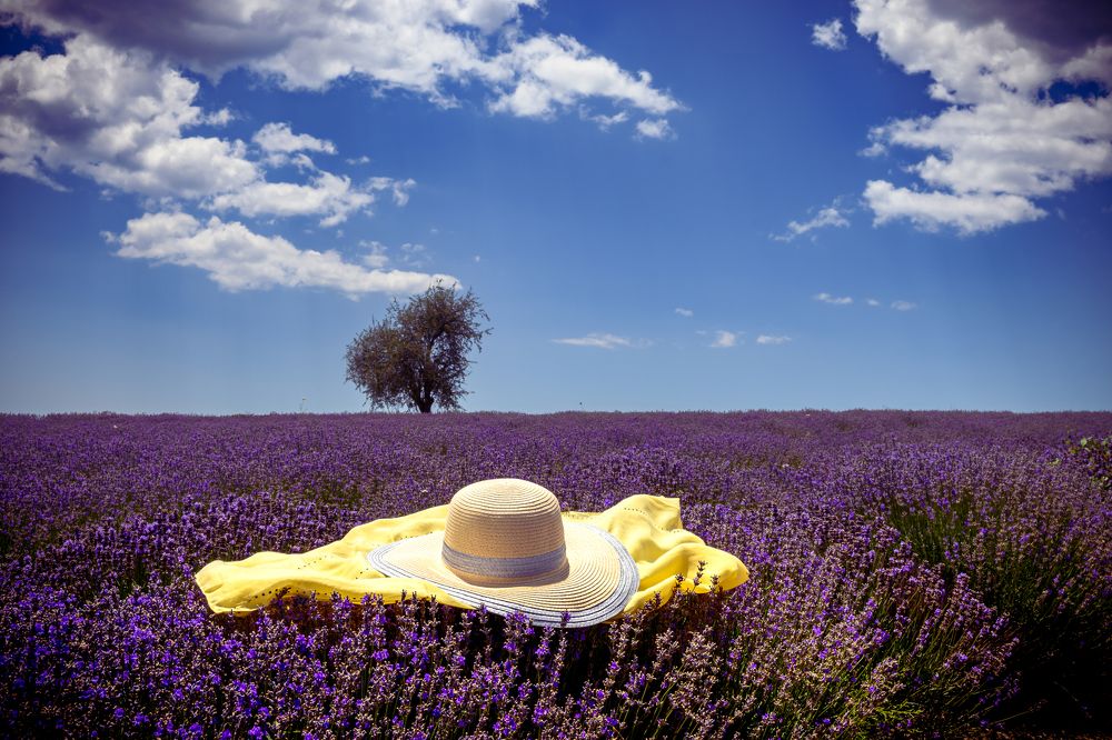 Photograph by Dimitrios Papadopoulos