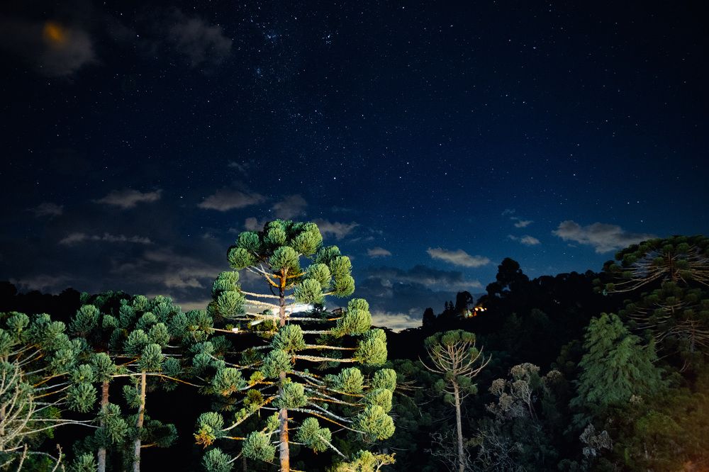 Photograph by Valmir Fernando da Silva