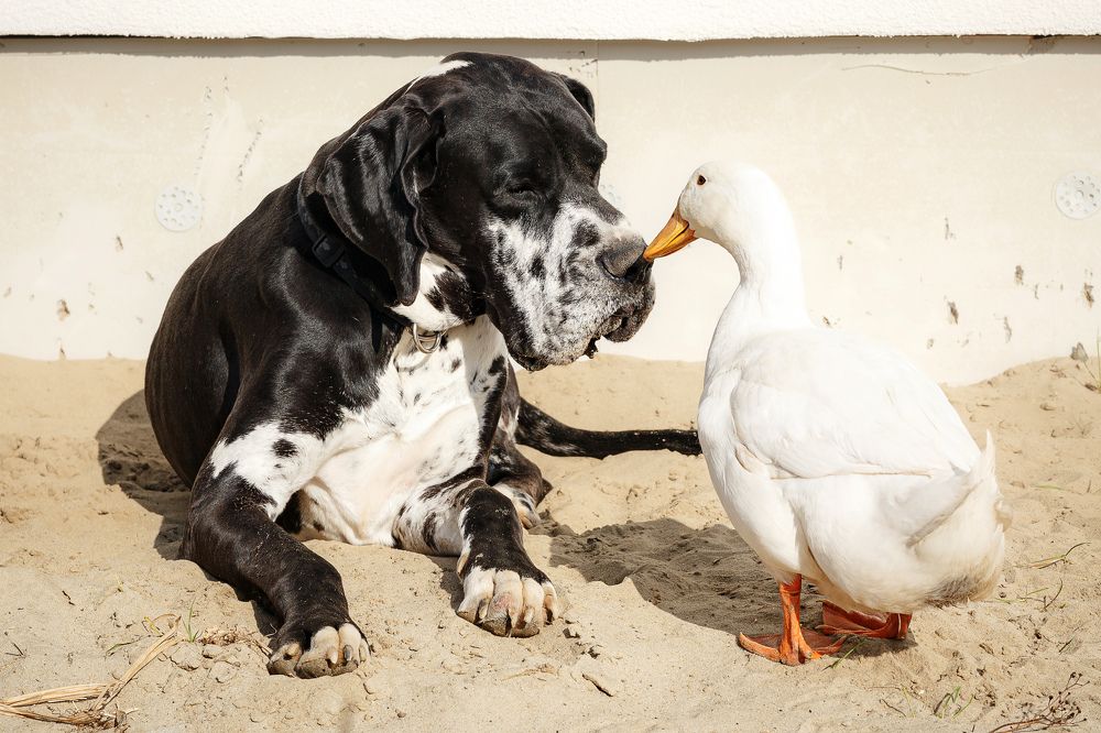 Photograph by Liudmila Bandurina