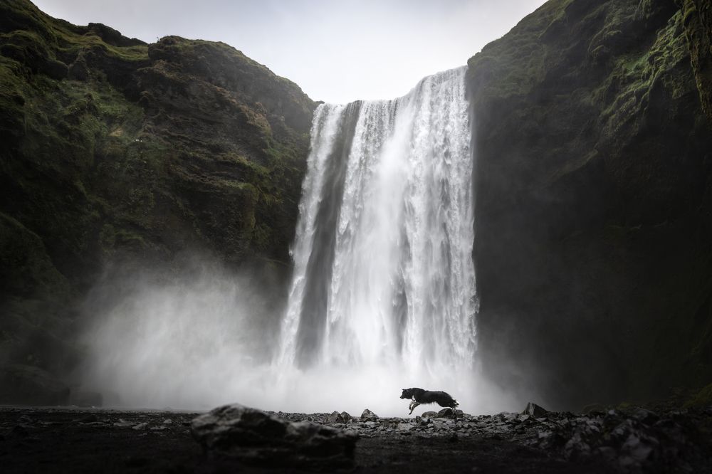 Photograph by Izabela Lyson