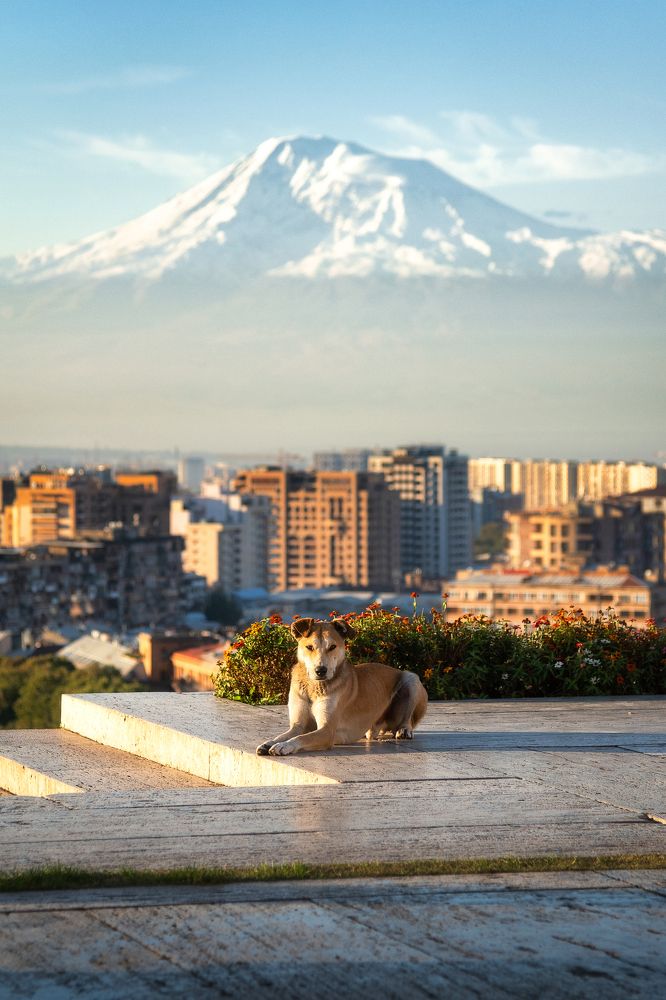 Photograph by Станислав