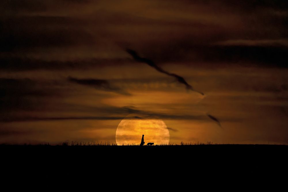 Photograph by Eduardo Garrobo