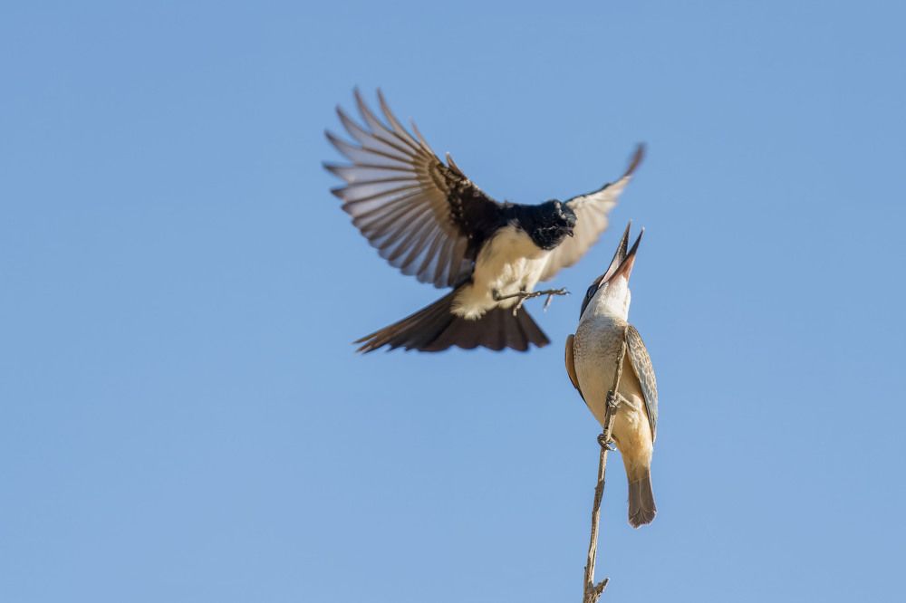 Photograph by Dennis Vagner