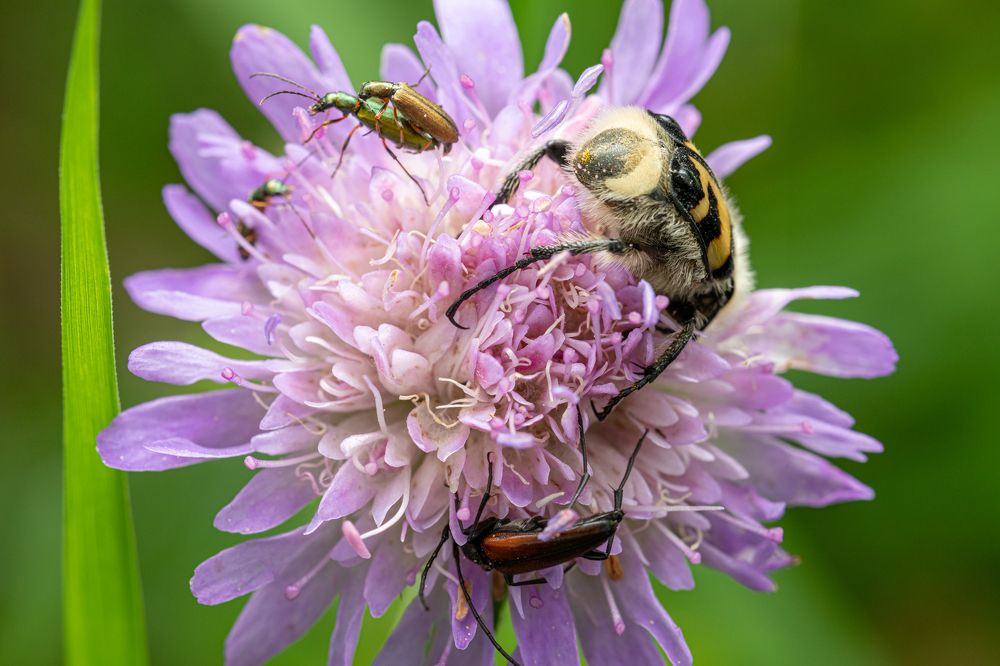 Photograph by Дмитрий Константинов