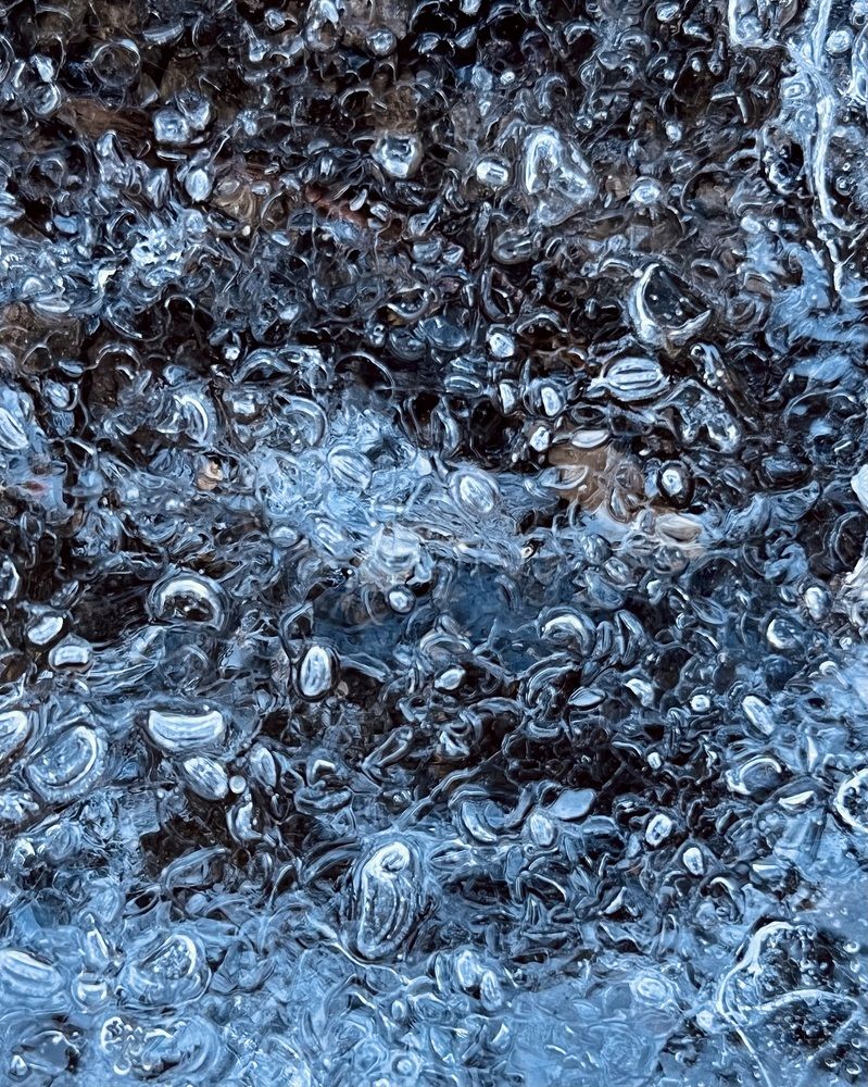 Фотография автора Мария Жукова