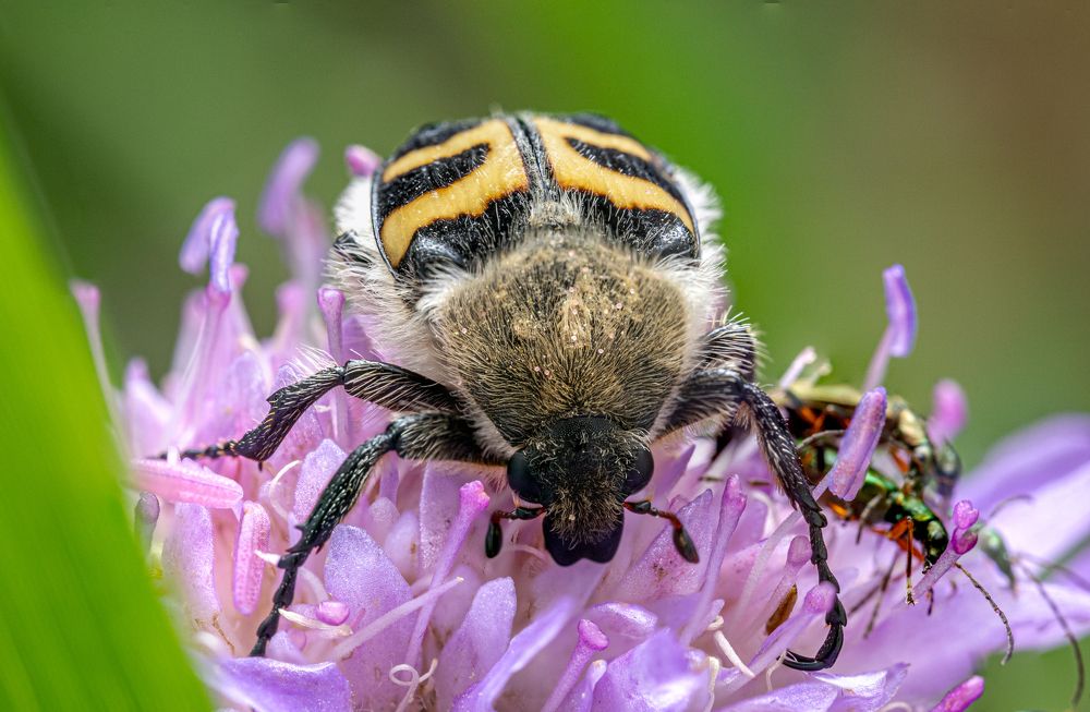 Photograph by Дмитрий Константинов