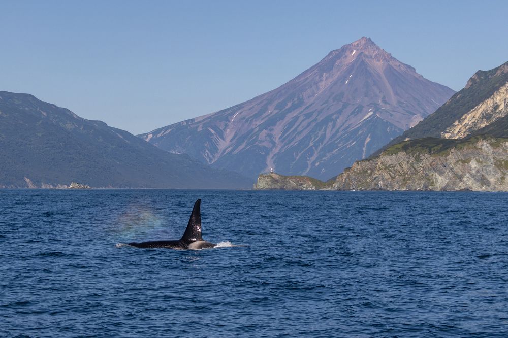 Photograph by Елена Верещака