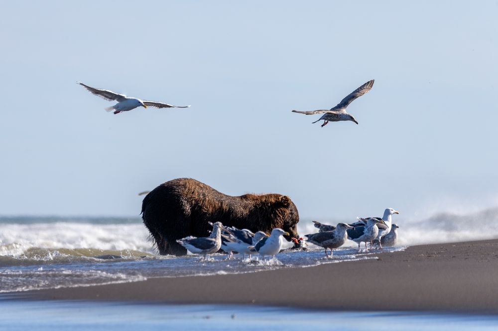 Photograph by Елена Верещака