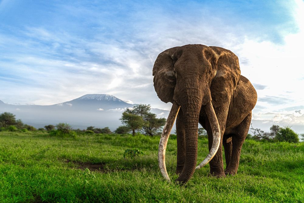 Photograph by Hari Kumar