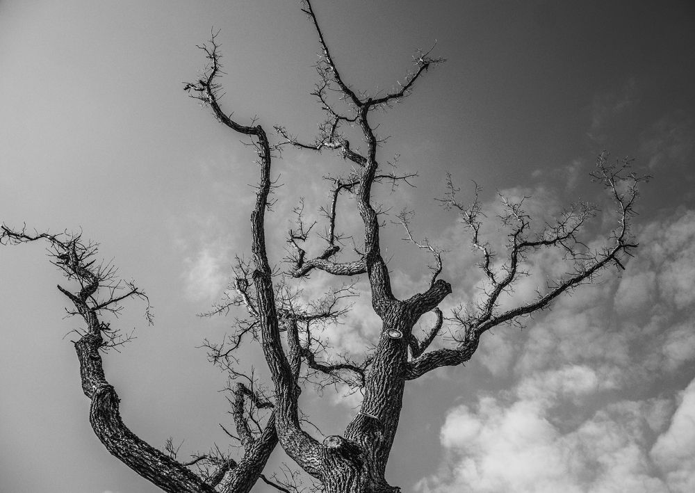 Фотография автора Альбина Хвастунова