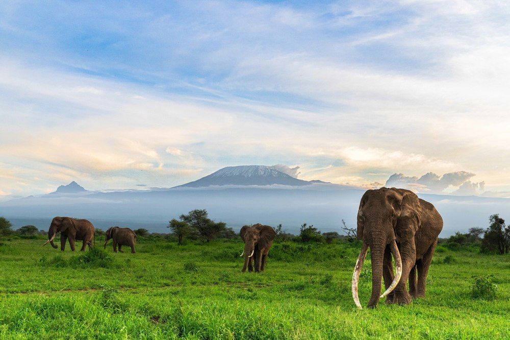 Photograph by Hari Kumar