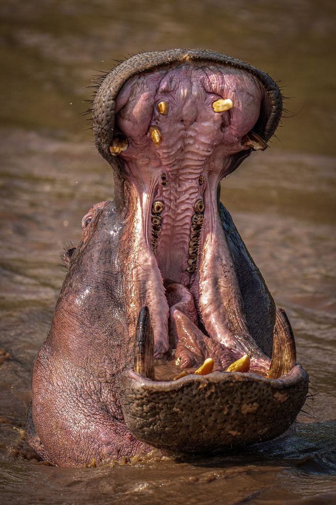 Photograph by Hari Kumar