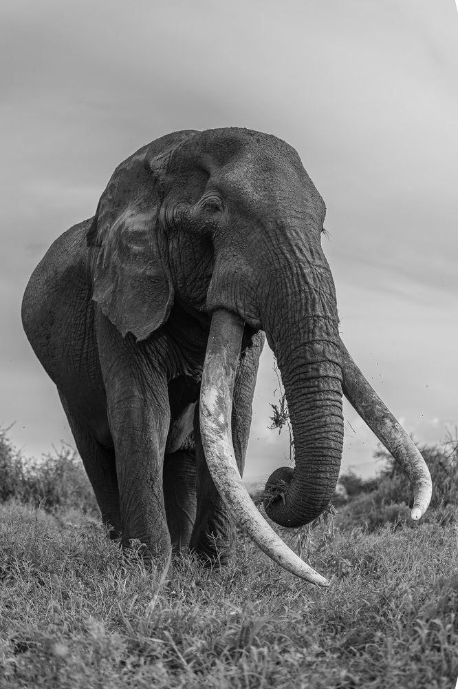 Photograph by Hari Kumar