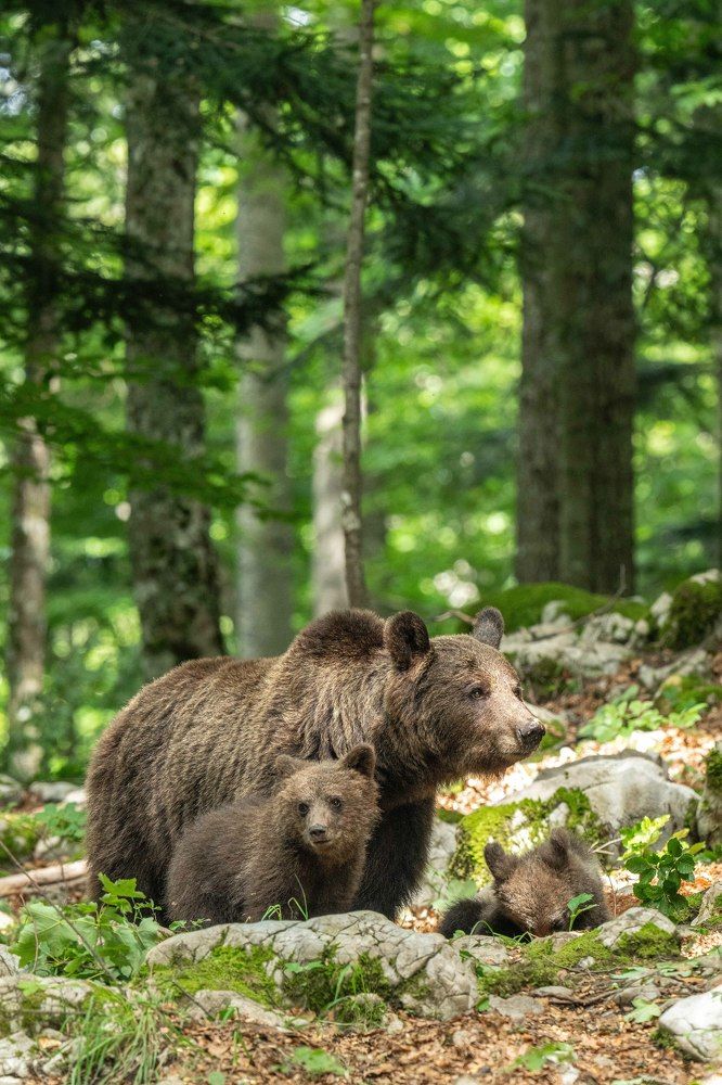 Photograph by Hari Kumar