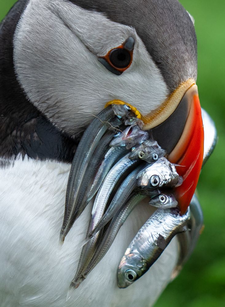 Photograph by Hari Kumar