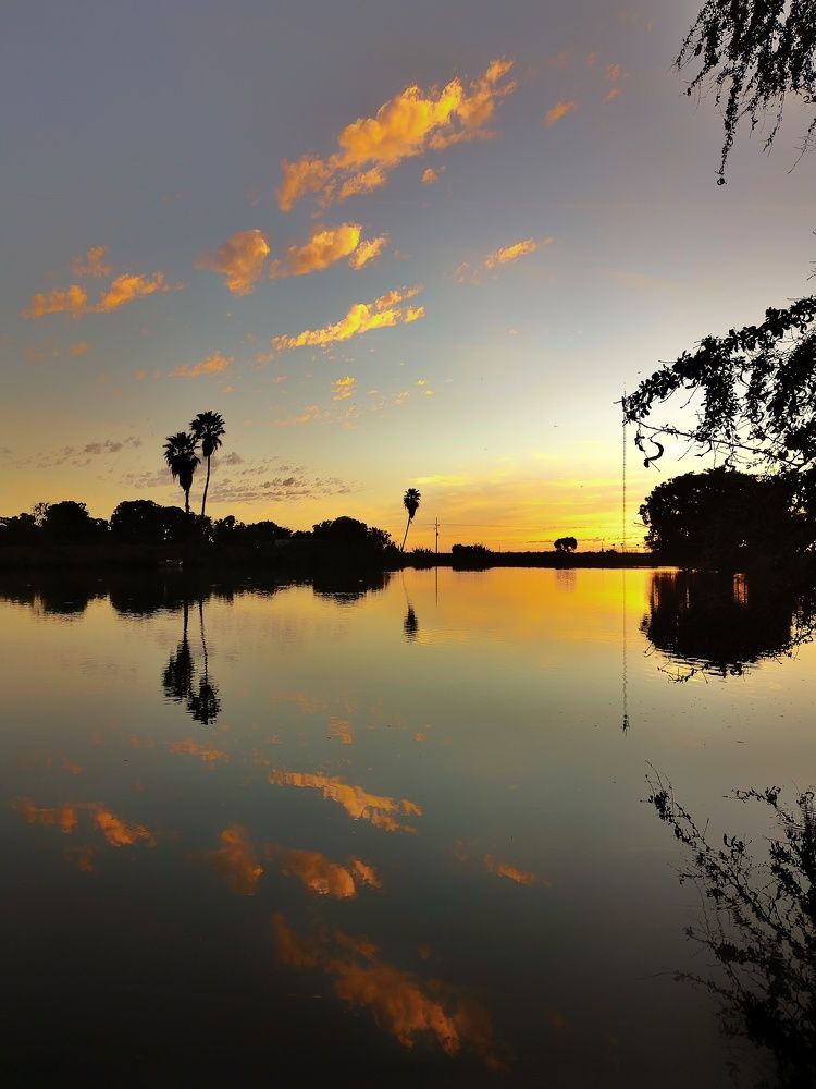 Photograph by bigu *