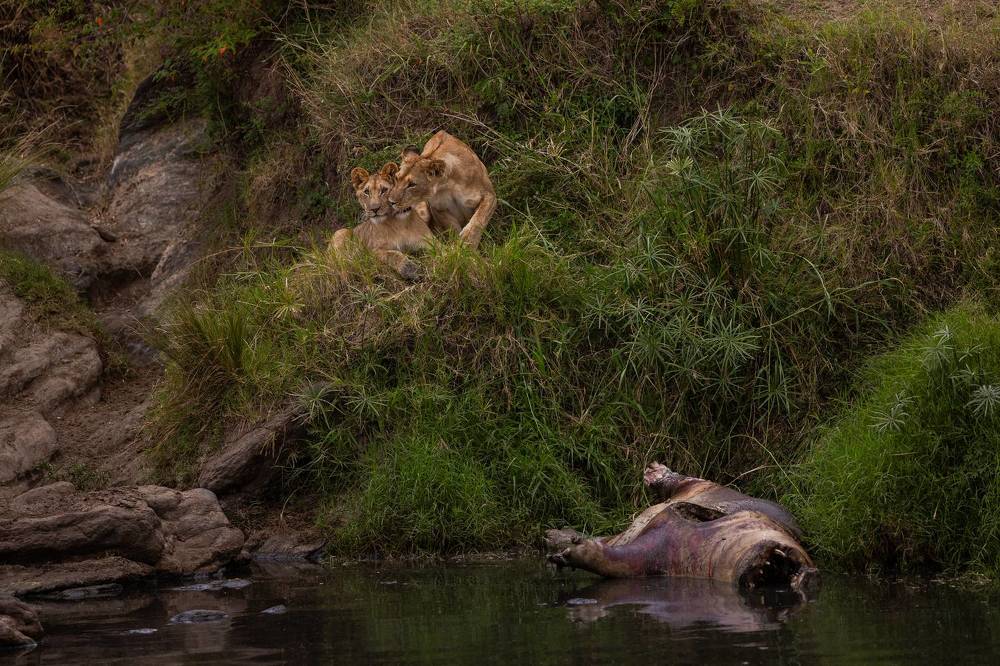 Photograph by Sai Kiran Bhagavatula