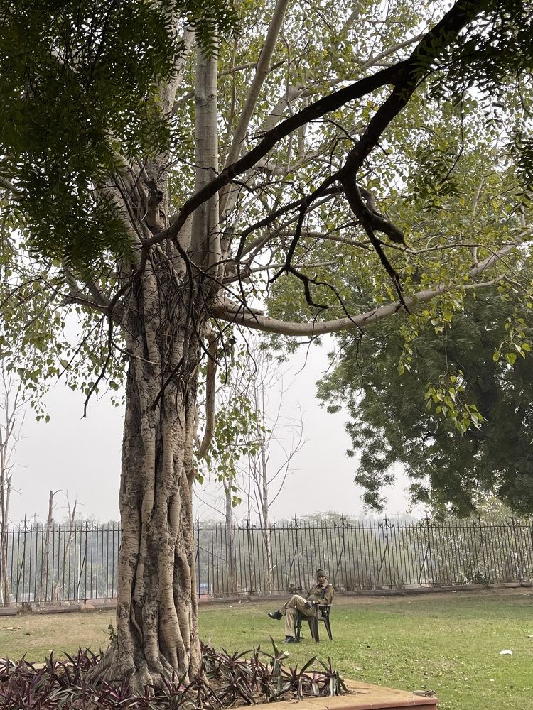 Photograph by Dmitry Litvinenko