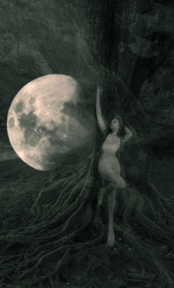 Photograph by Olga Sokolinskaya