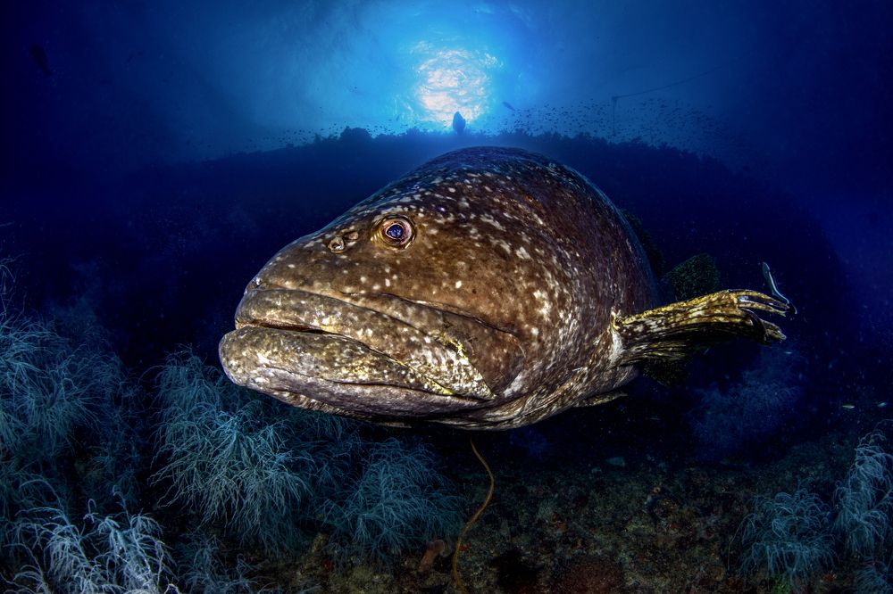 Фотография автора Paula Vianna