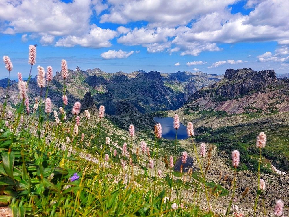 Photograph by Елена