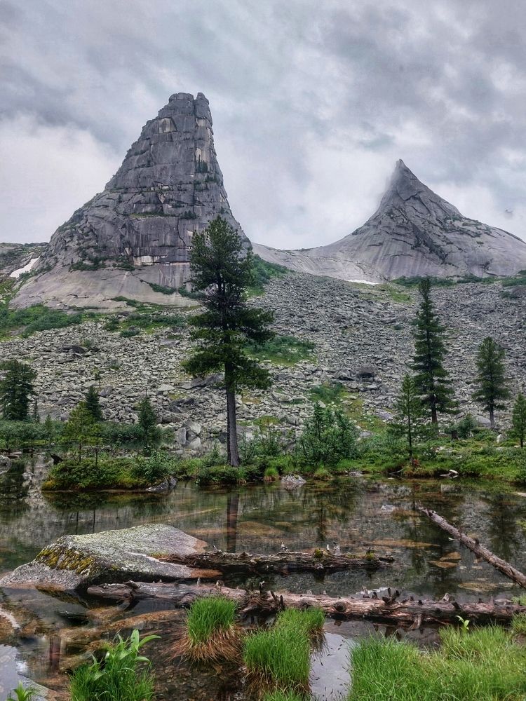 Photograph by Елена