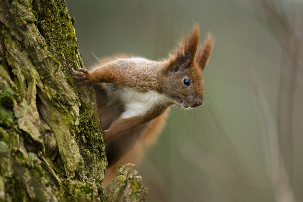 Photograph by Piotr Socha