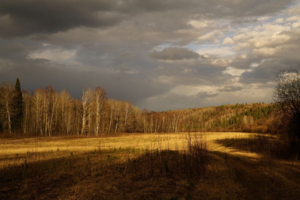 Луч света и надежды
