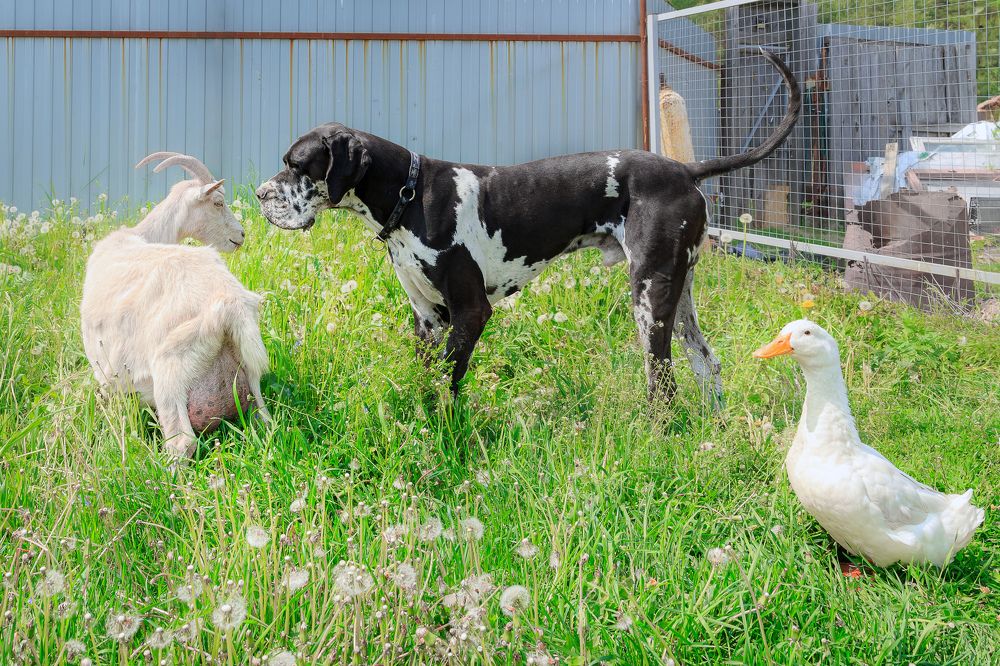 Photograph by Liudmila Bandurina