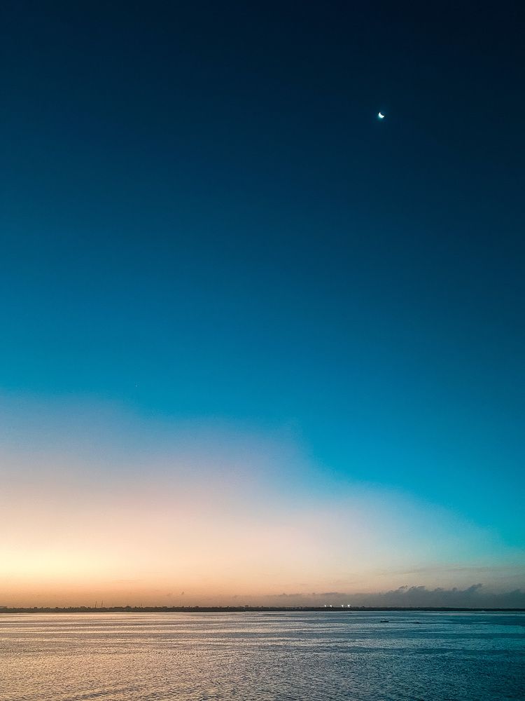 Photograph by Neil Tacatani