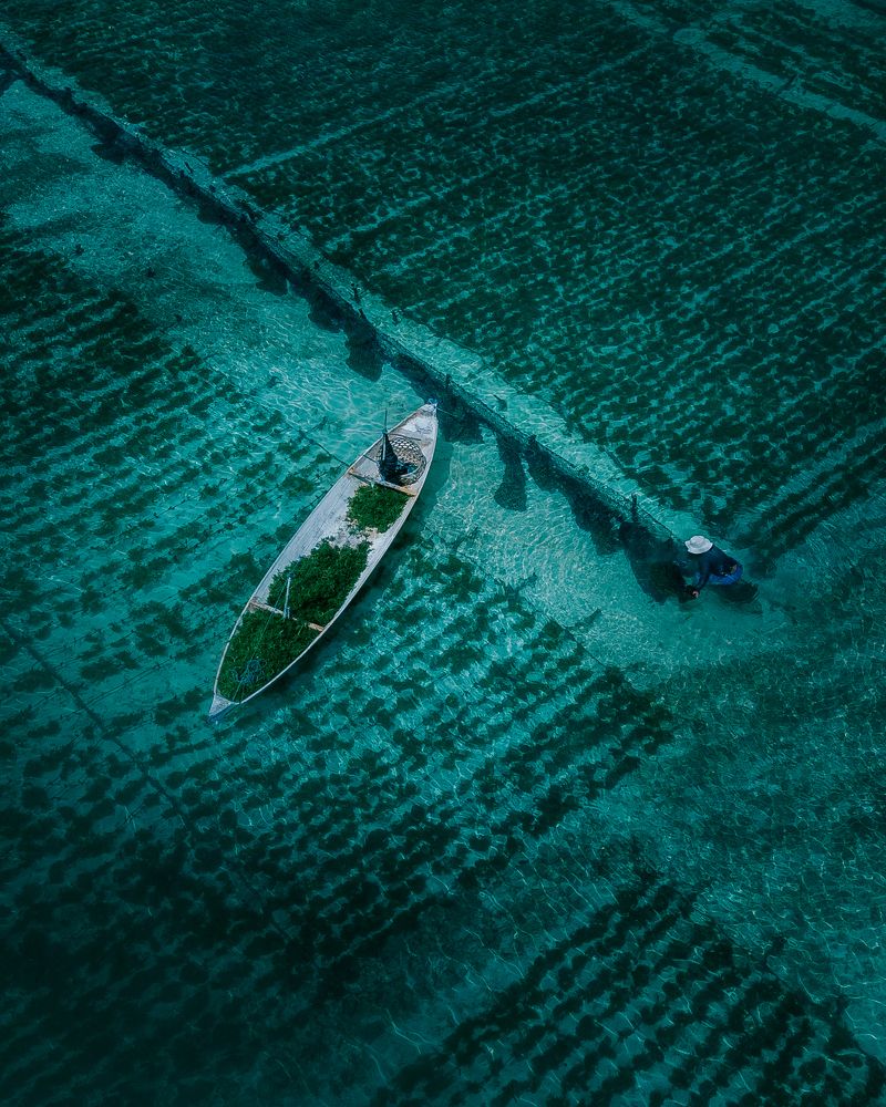 Фотография автора Анастасия Сауль